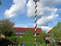 Maibaum 2008 022_hg